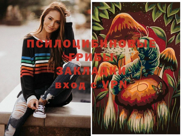 spice Балабаново