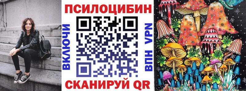 Галлюциногенные грибы MAGIC MUSHROOMS  где купить наркотик  Терек 